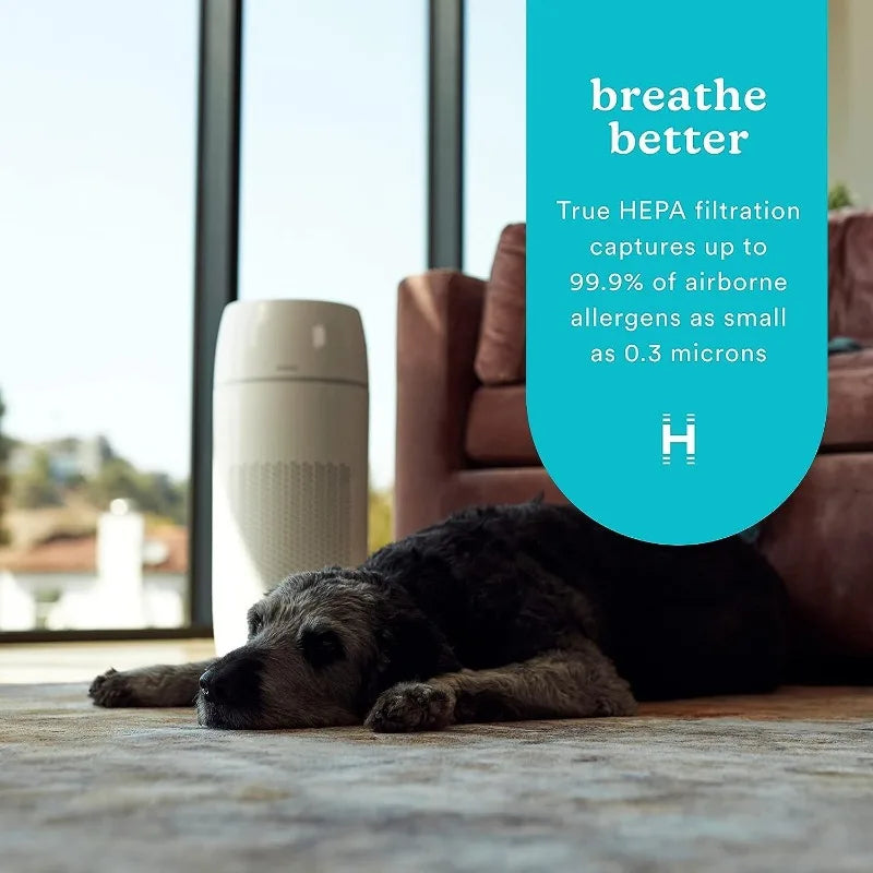 Homedics 5-in-1 PetPlus UV-C Air Purifier - 360-Degree HEPA Filter for 266 Sq Ft, with Essential Oil Pads & Built-In Timer,White
