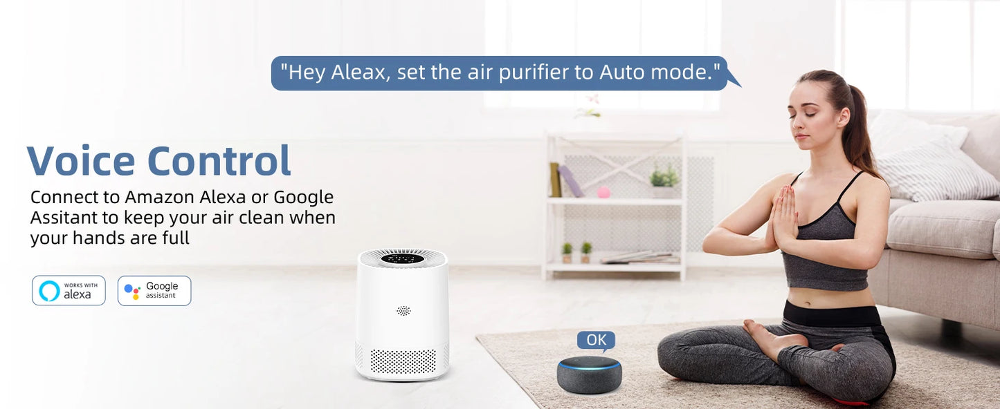 Air Purifiers for Bedroom, BHTNYOO-H13 HEPA Air Filter, PM2.5 Air Purifier Portable Indoor Odor Eliminators Purification System