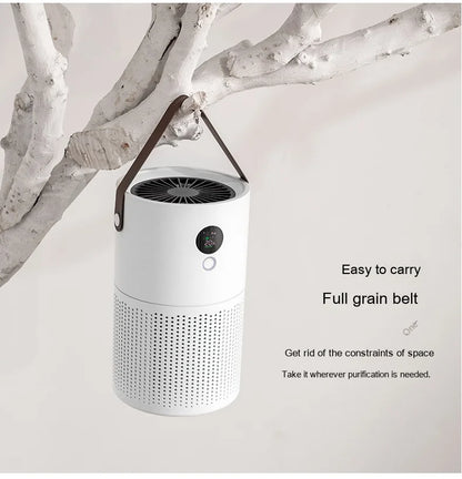 ZaiXiao AP01 Negative Ion Air Purifier Odor Deodorizer Remove Dust Smoke Removal Formaldehyde Air Filter USB Mute