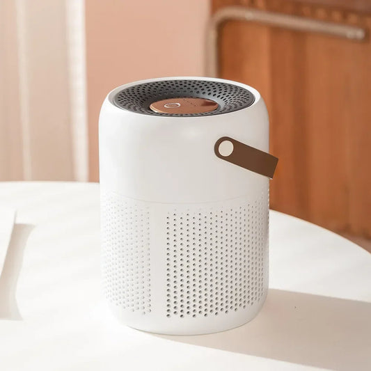 AP07 Air Purifier USB Negative Ions Generator Remover Formaldehyde for Home Portable Air Cleaner Perfume for Desktop Office
