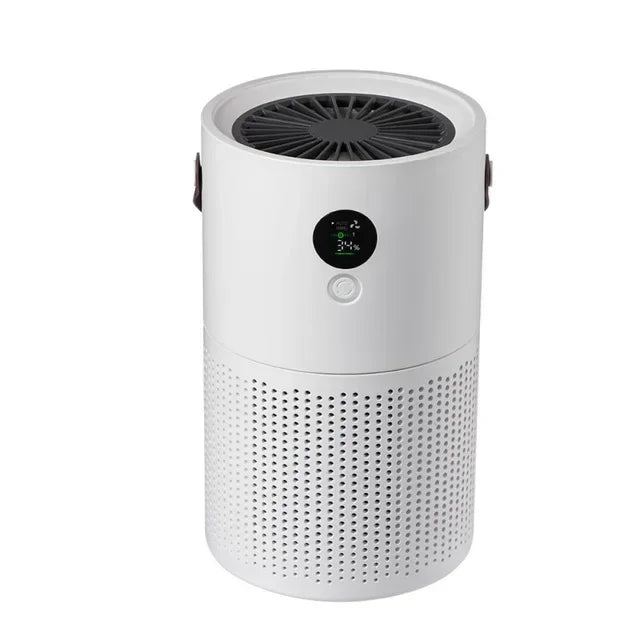 ZaiXiao AP01 Negative Ion Air Purifier Odor Deodorizer Remove Dust Smoke Removal Formaldehyde Air Filter USB Mute