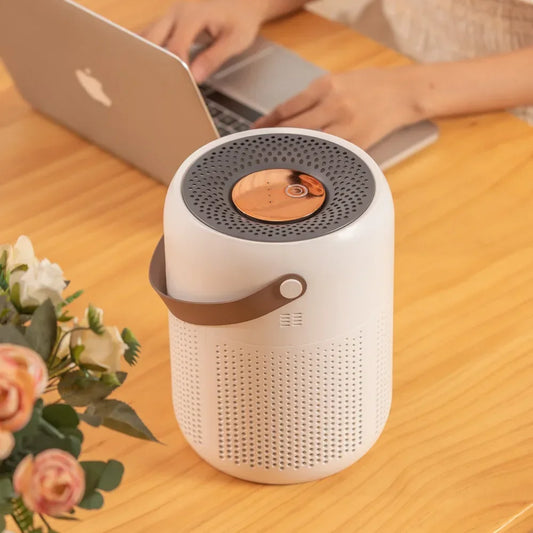 AP07 Air Purifier USB Negative Ions Generator Remover Formaldehyde for Home Portable Air Cleaner Perfume for Desktop Office