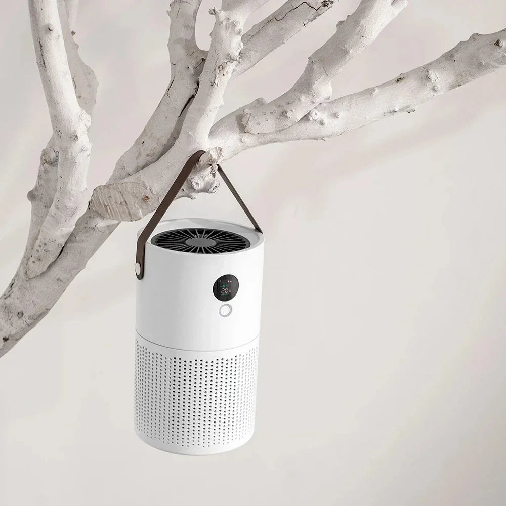 ZaiXiao AP01 Negative Ion Air Purifier Odor Deodorizer Remove Dust Smoke Removal Formaldehyde Air Filter USB Mute