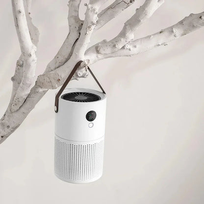 ZaiXiao AP01 Negative Ion Air Purifier Odor Deodorizer Remove Dust Smoke Removal Formaldehyde Air Filter USB Mute