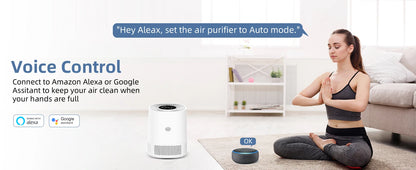 Air Purifiers for Bedroom, BHTNYOO-H13 HEPA Air Filter, PM2.5 Air Purifier Portable Indoor Odor Eliminators Purification System