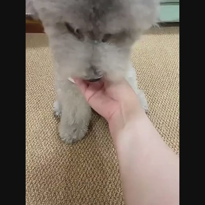 Pet toys Gravity Electric Amusement Pet Ball Smart Bouncing Ball For Dogs and Cats